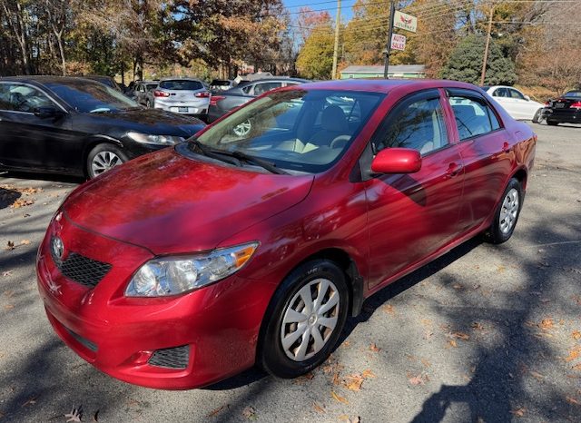 2010 Toyota Corolla LE (Burgundy)