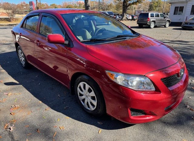 2010 Toyota Corolla LE (Burgundy)