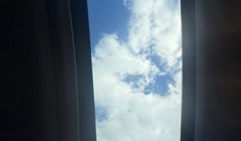 2013 Honda Pilot EX-L (Burgundy) full