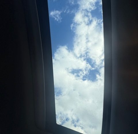 2013 Honda Pilot EX-L (Burgundy) full